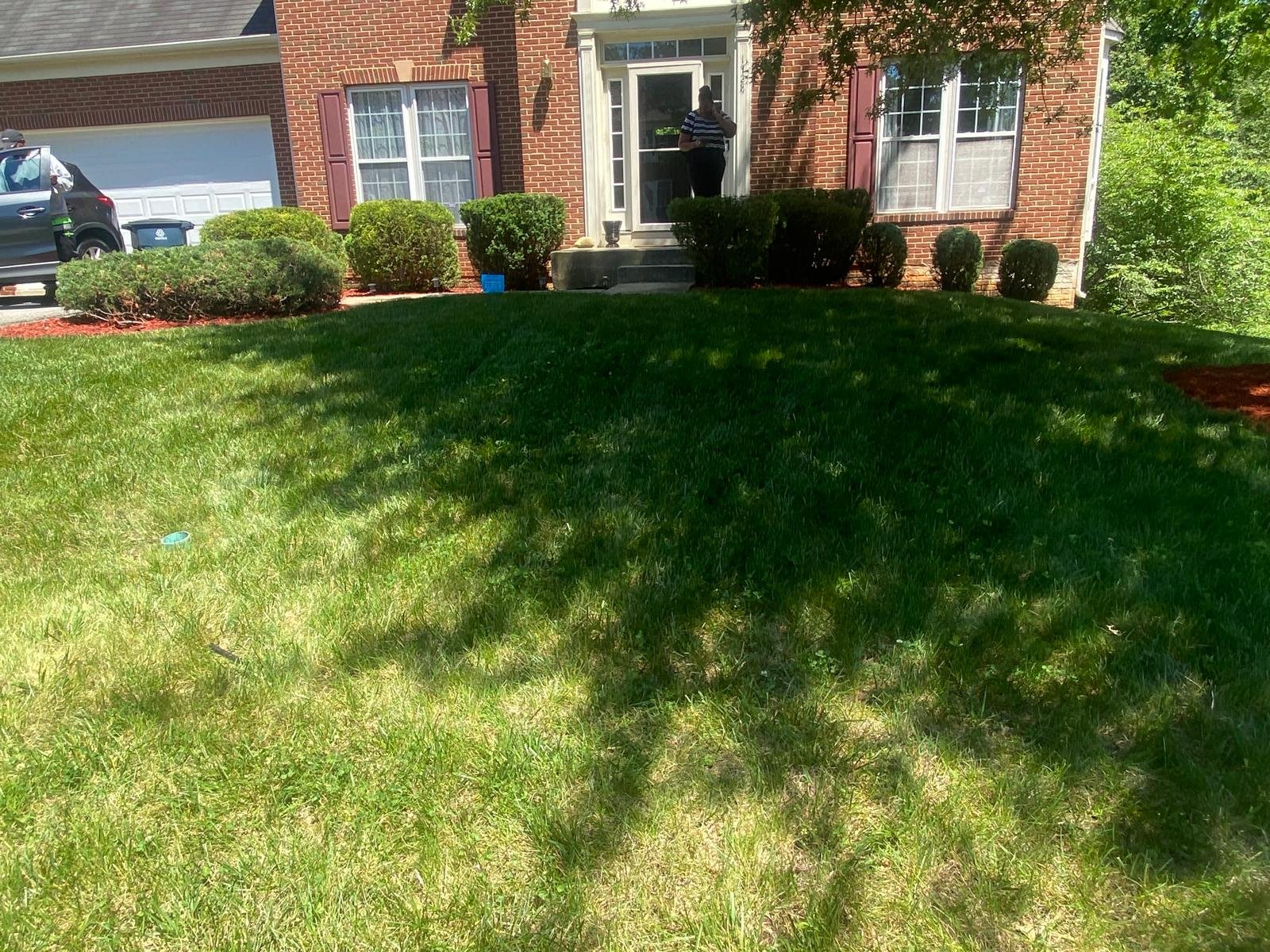 Outdoor planting and landscaping work